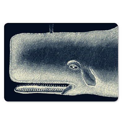 ThomasPaul Scrimshaw Whale Trays, Set of 2 ThomasPaul Scrimshaw Whale Trays, Set of 2